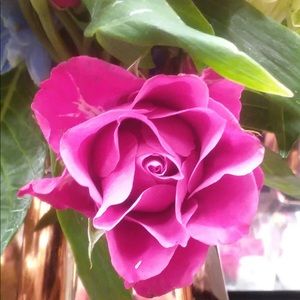 Meet your Posher, Katrina